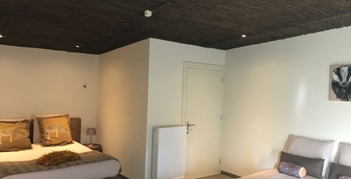 Slaapkamer 2 Das