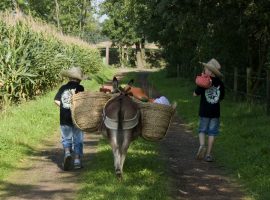 achtzijde_ezelwandeling